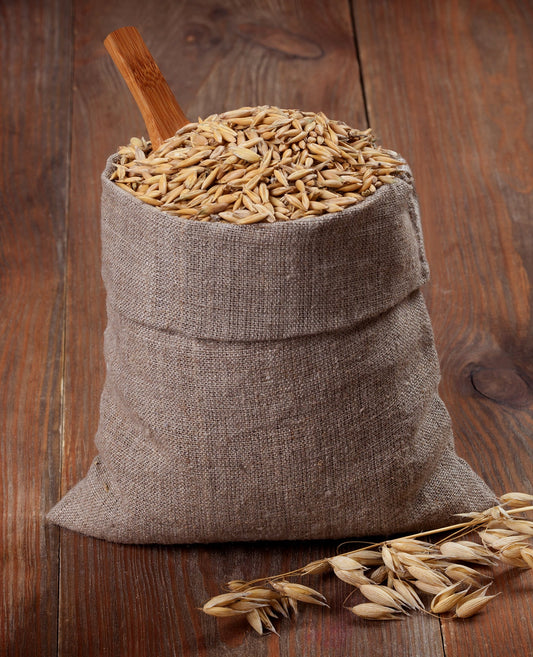 Why Fiber Matters